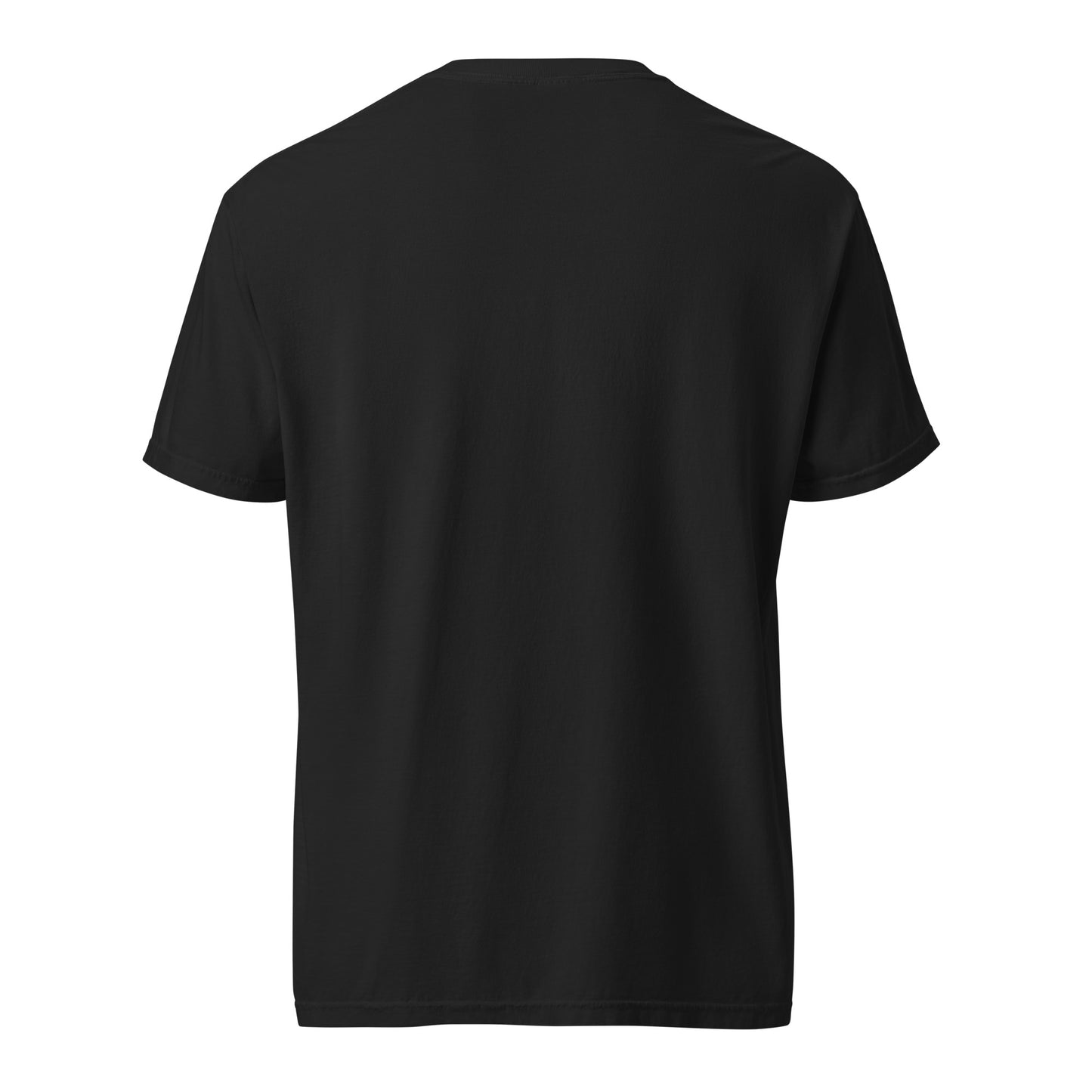 A black short-sleeve t-shirt shown from the back